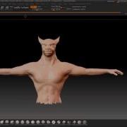 Wolf Morph