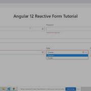 Angular 12 Reactive Form Working Demo Email Validation Checkbox Validation