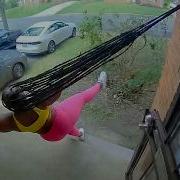 Caught In 4K Funniest Security Camera Fails