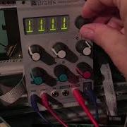 Mutable Instruments Braids For Sale