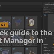 A Quick Guide To The Asset Manager In Unity
