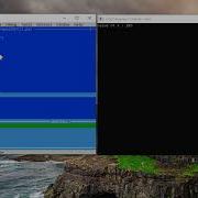 Repeat Until Pascal Programming
