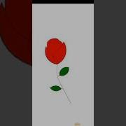 Python Turtle Funny Project Programming Graphics Roses Shorts Funny Draw Python Roses New