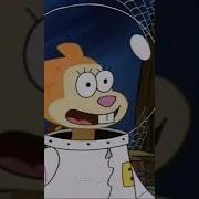 Squidward Punches Sandy S Face Shorts Youtubeshorts