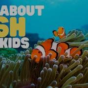 All About Fish For Kids Learn The Characteristics Of Fish What Is A Fish