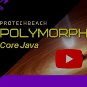 Polymorphism Java OOPs Java Interview