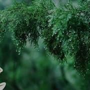 Rainy Day Расслабляющая фортепианная музыка с мягкими звуками дождя Сон учёба отдых