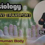 Passive Transport