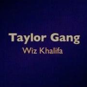 Taylor Gang By Wiz Khalifa Clean