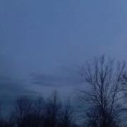 Bat Chirping Noise Caught On Camera VERY Faint