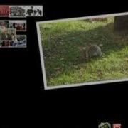 PhotoApp Multi Touch