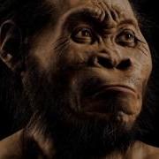 Homo Naledi открытие изменившее генеалогическое древо Рассказывает антрополог Айли Марница