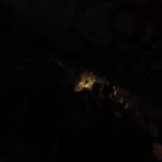 SCAB EATER Villa Vegan Milano 4 November 2016
