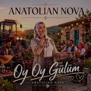 Anatolian Nova Oy Gülüm