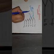 How To Draw Sacral Plexus Very Easily A Very Easy Method To Remember