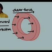 V9 The Magic Vortex Ring In Fluid Mechanics Explanation And Demonstration