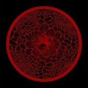 Gamma Oscillation