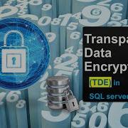 Прозрачное шифрование данных в SQL Server TDE в SQL Server Шифрование в SQL Ms SQL