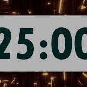 25 Minute Timer LOUD ALARM