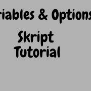 Variables Options In Skript