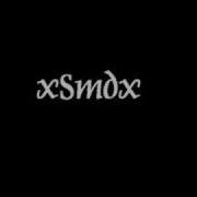 Liferuiner XSMDx