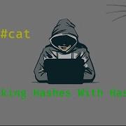 How Hackers Cracks Hashed Passwords Hashcat Linux Thelinuxpoint