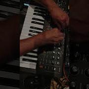 Moog Messenger I Love The Arpeggiator