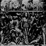 Fiend Split 7 With Recalcitrant 2016 Grindcore