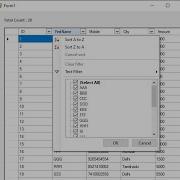 How To Create A Advance Filter In Datagridview Like Excel Filter VB Net Mikecodz2821
