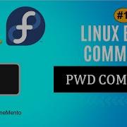 Print Working Directory Pwd Command In Linux Hindi Linux Basic Commands