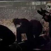 Corey Taylor Best Headbanger Ever