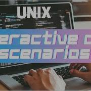 UNIX Important Interactive Cmd Read Scenarios In Bash Most Asked Interview Question In UNIX