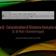 FIJI ImageJ Colocalization Distance Analysis With DiAna II 3D Multi Channel Images
