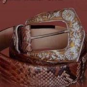 Fashion Accessories Luxury Python Belts Collection