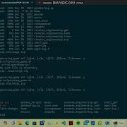 PicoCTF Binary Search
