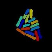 Image Processing Watershed Segmentation