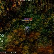 Cabal Nw Hacker Wh