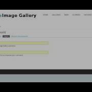 Online Image Gallery Advance PHP And MySQL Project Source Code PHP MySQL CRUD Project