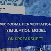 Microbial Fermentation Simulation Model On Spreadsheet