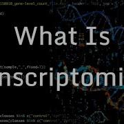 Lesson 1 What Is Transcriptomics