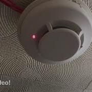 Mini System Test 19