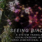 Seeing Birdsong Project Overview