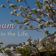 Living In Bodrum A Typical Day As An American In Turkey Farmers Market New Lokanta Nature Views