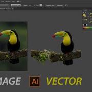 Image Trace In Adobe Illustrator CC 2020 Vectorize Image In Illustrator 2021