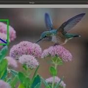 Draw An Arrowed Line And Rectangle On An Image Using OpenCV