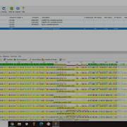 Extraction Grouping Alignment And FastTree With Geneious