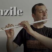 Ünzile Sezen Aksu Yan Flüt Solo Yanflüt Flute ünzile Sezenaksu Sezenaksusongs