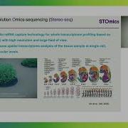 Verma J BGI Stomics Technology Overview