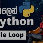 Python ස හල න Lesson 27 While Loop