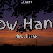 Niall Horan Slow Hands Lyrics